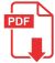 pdf2